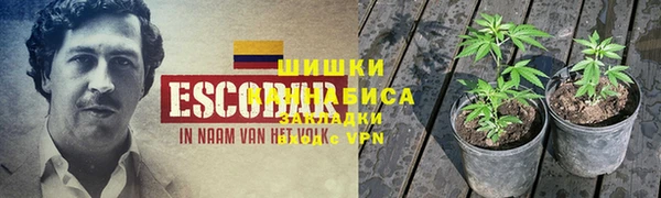 дмт Мегион