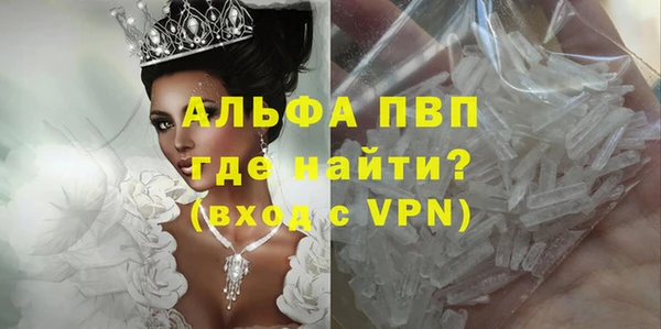 стафф Михайлов