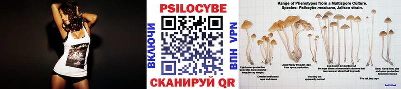 Псилоцибиновые грибы мицелий  Купить где  Дедовск 